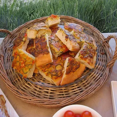 Kır Evi Masseria Pitanni Gallipoli