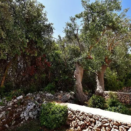 Летний дом Masseria Pitanni *