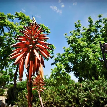 Masseria Pitanni Галлиполи